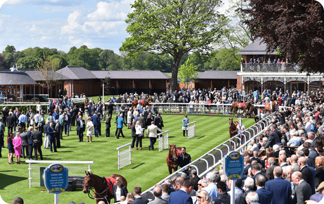 Prestige Event Travel service main illustration